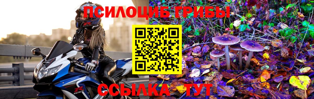 Галлюциногенные грибы Magic Shrooms Нефтекамск