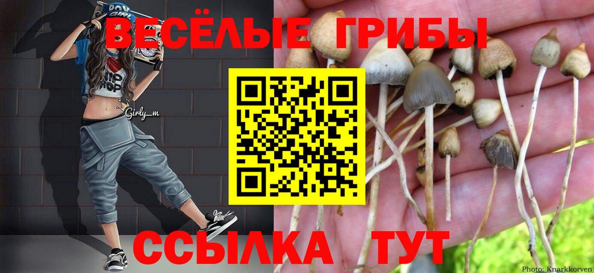 Галлюциногенные грибы мухоморы  Вход с VPN  наркотики  Галлюциногенные грибы GOLDEN TEACHER  Нефтекамск 